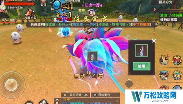 寻仙手游侍宠如何获得 侍宠获取方法有哪些[多图]图片3